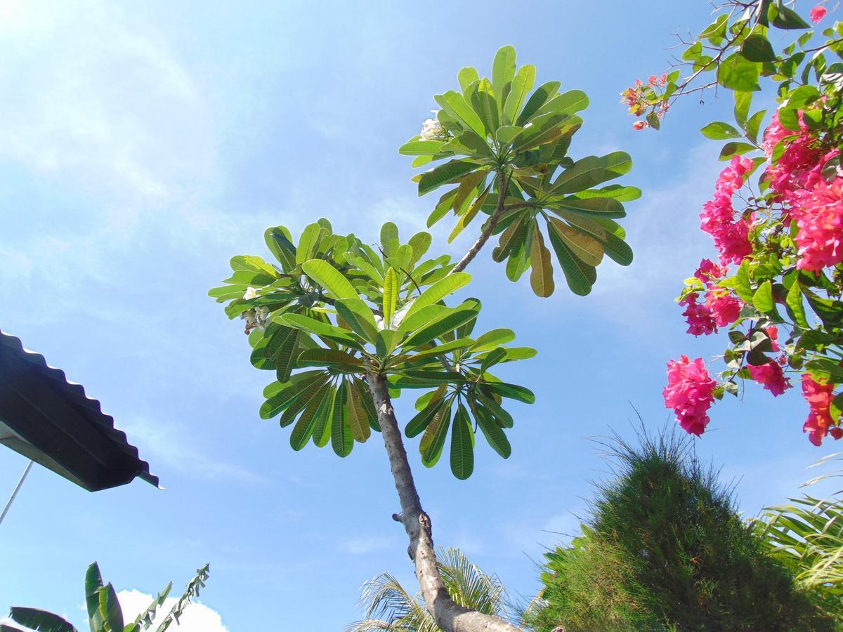 Sister Bungalow Hotel Gili Air Exterior photo